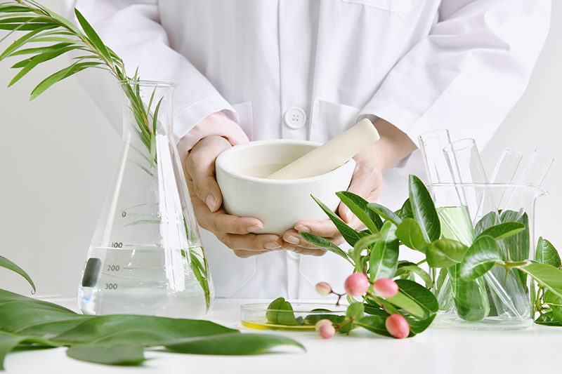 Formulation and Development